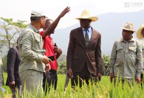 赤道幾內(nèi)亞農(nóng)業(yè)、畜牧、森林和環(huán)境部部長阿卡波到示范農(nóng)場慰問