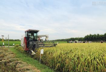 2020年再生稻頭季機(jī)收測(cè)產(chǎn)觀摩會(huì)隆重召開(kāi)